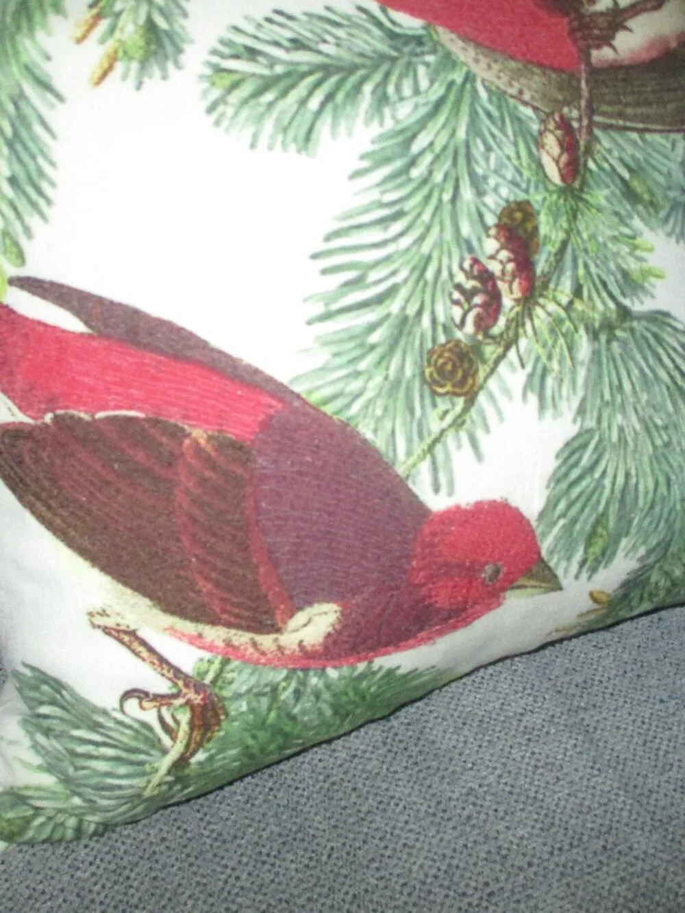 Pottery Barn Audubon Bird Large 20x20 Indoor Pillow with pine branches